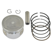 XT600 piston piston ring piston assembly standard 25 50