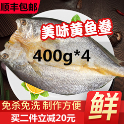 台州黄鱼鲞大黄鱼黄花鱼冷冻水产生鲜新鲜海鲜鱼免杀洗约1580g4条
      鱼类生鲜