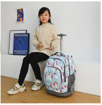 Childrens lever school bag silent junior high school students 1-6 grade boy female large capacity waterproof silent trolley case