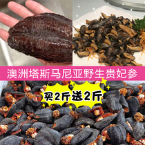 Tasmania, Australia deep sea wild light dried imperial concubine ginseng taste Q spring sea cucumber dry goods nourishing nutrition
