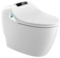 Hegii Multifunctional Automatic Instant Hot Household Intelligent toilet All-in-one machine HCE900A01