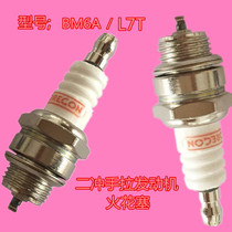 49CC hand start engine mini motorcycle L7T BM6A small sports car spark plug fire head