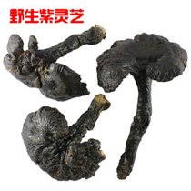 Shennongjia deep mountain wild lucidum tablets Ganoderma lucidum purple Ganoderma lucidum wild Ganoderma lucidum Linzhi fungus fake one compensation Ten
