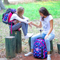 Germany Bewo original imported lever schoolbag Primary School students large capacity rainproof male and girl back pull suitcase