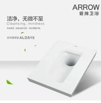 Wrigley ALD515 squatting toilet (only at the store)