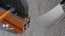 Moser-diamond mesh protective window