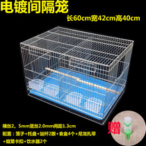 Galvanized parrot breeding bird cage partition thickening breeding tiger skin peony Xuanfeng matching cage double room