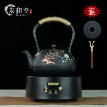 Iron pot Cast iron tea kettle Japanese handmade uncoated pig iron pot Electric pottery stove tea maker set