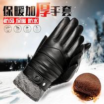 Men's winter warm leather gloves riding cold-proof plus velvet padded windproof waterproof touch screen cycling motorcycle gloves