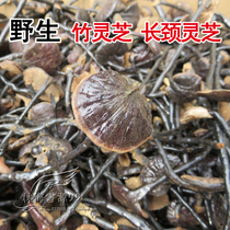 Wild bamboo Ganoderma lucidum long-necked Ganoderma lucidum 250g
