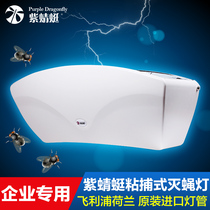 Purple Dragonfly sticky fly extinguishing lamp mosquito extinguishing lamp meets food factory certification requirements Catering enterprise environmental protection insect trap lamp