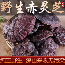 Red Ganoderma lucidum Chinese herbal medicine authentic Yunnan wild 250g pruned dry goods deep mountain Linzhi purple Ganoderma lucidum soak wine