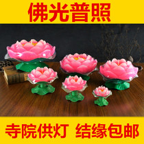 Lotus lamp candle Lotus Candle Lotus wax also wish lamp ghee red floating water lotus lamp lotus lamp