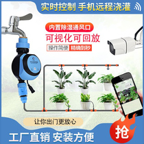 Timing flower watering device automatic irrigator remote smart home garden sprinkler atomization micro-spray spray drip irrigation system