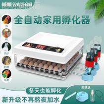Electric chicken hatcherHatcherAutomatic household small machine smart thermostat chicken parrot egg box