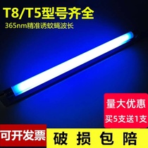 Lighting Tube Mosquito Killer Lamp Mosquito Killer Mosquito Trap Special Light Tube T5-6w8 Watt T8-10w15w20w Fly Lamp Purple Light