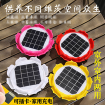 Solar outdoor playback machine 2021 new outdoor rainproof and antifreeze MP3 home waterproof charging player