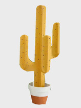 Nordic ins childrens studio shooting cabinet props photography props cactus props cabinet