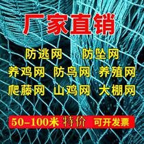 Plastic chicken net poultry breeding net Skynet stop chicken duck net pheasant net vegetable garden fence net nylon net