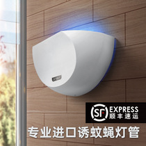 Sticky trap mosquito killer lamp Commercial indoor restaurant Hotel with silent wall fly killer lamp Milk tea shop fly trap artifact