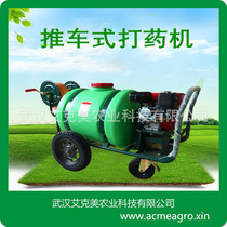 Cart-style landscaping push drugmaker 160 liters electric diesel high pressure agricultural petrol power disinfection sprayer