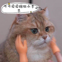Douyin small gloves toy cute plastic funny artifact model spoof fake hand roll cat rubber finger cover