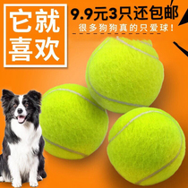 Supplies Labrador fostering toy ball dog toy bite-resistant training ball puppies large molar dogs horse dogs