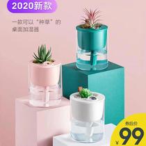 Cactus Humidifiers Night Light Dual-use Ins large fog Volume Home mute bedroom Creative personality Female Mini portable
