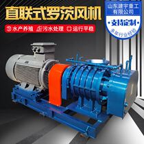 Supply stable operation direct-connected Roots fan Sewage treatment power large aquaculture aerator