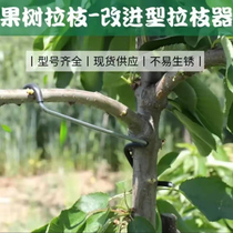 Agricultural Fruit Tree Labranch God Instrumental Pear Apple Cherry cherry tree side branches Branches Bender trunk Branches Bending Branches