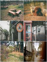 ins for the fools mini water glue camera diving female film vintage gift film student practical