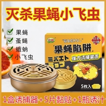 Fruit shop to remove insects fruit fly lure sticky agent household artifact trap box special small fly insect trap insecticide
