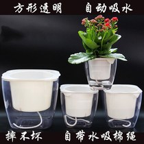 Green plant simulation plant tree fake wealth tree potted tree land bonsai indoor flower decoration ornaments large tree