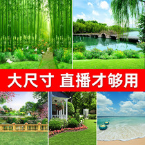 Live background cloth 3d stereo live broadcast room decoration Net Red Anchor photo background wall hanging cloth room layout rural outdoor landscape flower big seaside tremble high definition scene background wallpaper curtain