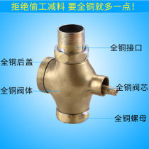 Self-closing Flushing Valve pool press hand press squatting toilet stool Flushing squatting pit urinal delay toilet switch valve