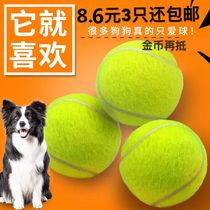 Pooch toy ball gold hairy teddy elastic ball resistant to grindle tennis pet puppies Labrador puppy training