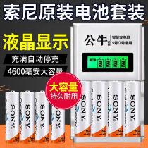 Sony Rechargeable Battery No. 5 Charger Set KTV Wireless Microphone Toy Large Capacity Rechargeable No. 7