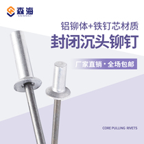 Closed countersunk head blind rivet aluminum iron waterproof pull nail 3mm4 sealed pull nail closed type flat head national standard Willow nail nail
