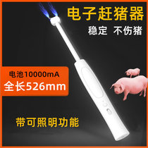 Pigs electric pigs electric pigs electric pigs pigs pigs pigs pigs pigs pigs pigs pigs pigs drive cattle and sheep.