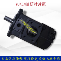 T6CC-031-005-1R00-C100 Denison double-linked vane pump T6CC-031-006-1R00-C100