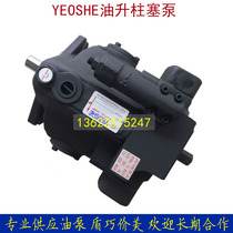 Taiwan AR16-FR01-B Die Casting Plunger Pump AR22-FR01 Movement Simulation Technology Engineering Machinery High Pressure Pump