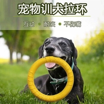 Grindle Pooch Toy Ball EVA Pull-Ring Solstille Companion Self Hi Pet Small Dog Interactive Grindle Training Dog Self hi