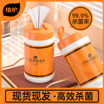 Plant care 75 degree alcohol disinfection wet tissue paper students child sterilization sterilization household large tube real Hui 100 pump