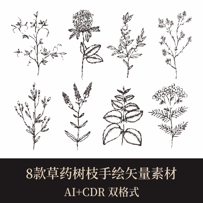8款优质实用手绘中草药植物树叶矢量海报画册vi辅助图形设计素材