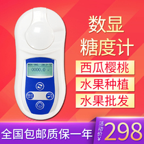Qi Wei Digital display brix meter fruit sugar tester high-precision sugar detection and measurement sweetness tester refractometer