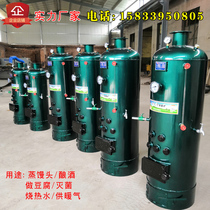 Coal-fired steam boiler Small commercial steam anti-boiling water Household wood-burning tofu steamed buns Edible fungus sterilization wine making