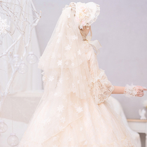 Moonlight dance flower fairy handmade Lolita headdress flower wedding headdress