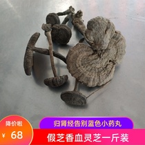 Wrinkled cover fake lucidum wild Ganoderma lucidum blood Ganoderma lucidum with a handle