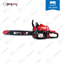 Black Ant Gasoline Saw 20 Inch Logging Saw 2.4KW Chain Saw Garden Saw Tree Cutter 6806