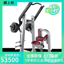  Original American LIFEFITNESS excellent hanging piece high tension back muscle trainer SPLPD